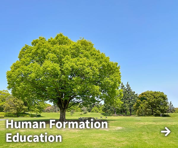 Human Formation Education